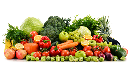 Padma Catering Services