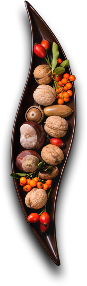 Padma Catering Services