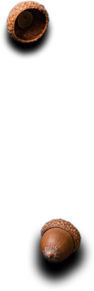 Padma Catering Services