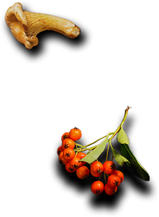 Padma Catering Services