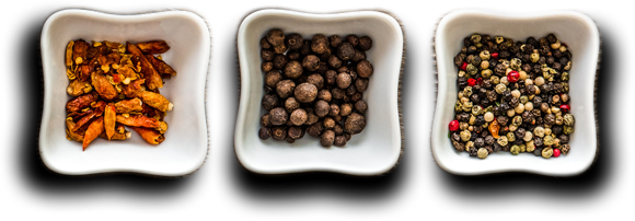 Padma Catering Services